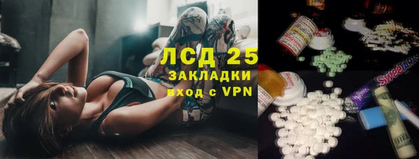 эйфоретик Алзамай