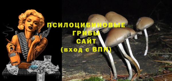 эйфоретик Алзамай